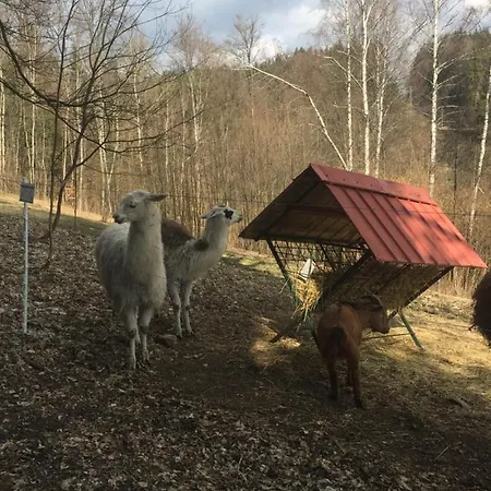 Hopi Hopi Svoboda nad Upou