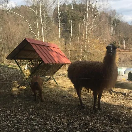 Hopi Hopi * Svoboda nad Úpou
