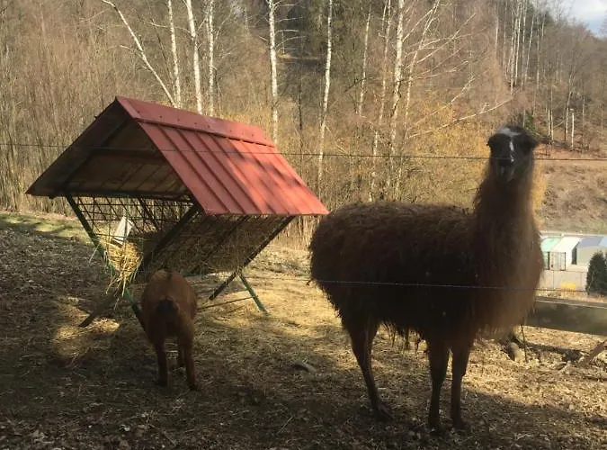 Hopi Hopi * Svoboda nad Úpou